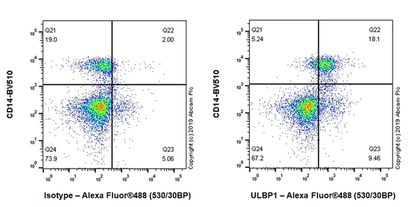 Flow Cytometry - Anti-ULBP1 antibody [EPR22088-211] - BSA and Azide free (AB256515)