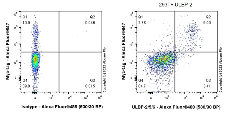 Flow Cytometry (Intracellular) - Anti-ULBP2+ULBP5+ULBP6 antibody [EPR26171-156] (AB290731)