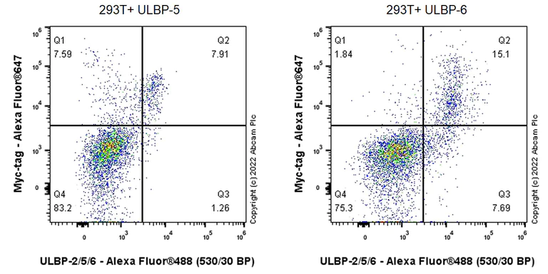 Flow Cytometry (Intracellular) - Anti-ULBP2+ULBP5+ULBP6 antibody [EPR26171-156] (BSA and Azide free) (AB290746)