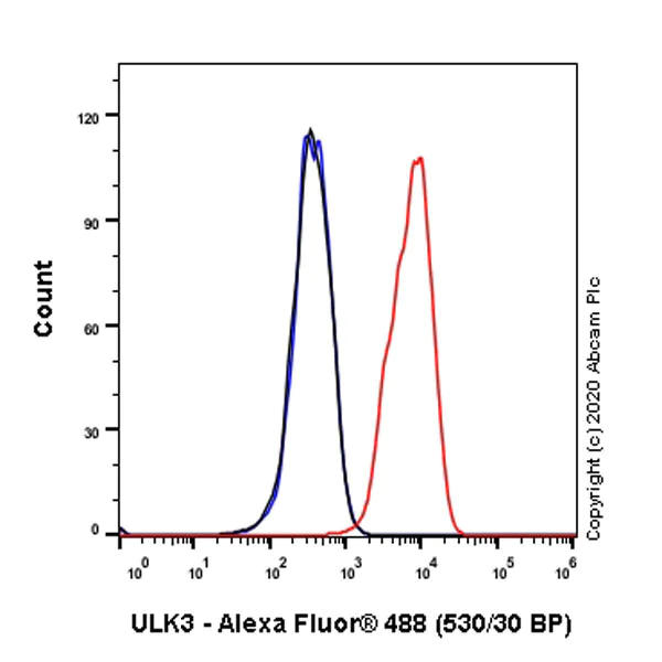 Flow Cytometry (Intracellular) - Anti-ULK3 antibody [EPR4888] (AB124947)