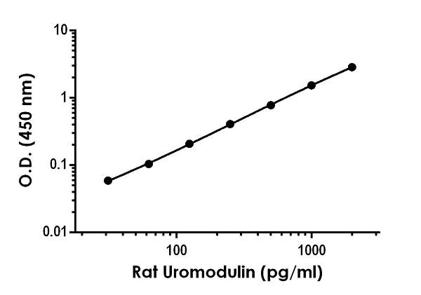 Sandwich ELISA - Anti-UMOD antibody [EPR22887-90] - BSA and Azide free (Detector) (AB274674)