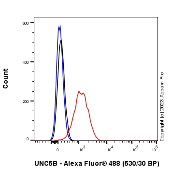 Flow Cytometry (Intracellular) - Anti-UNC5B antibody [EPR26173-186] - BSA and Azide free (AB313566)