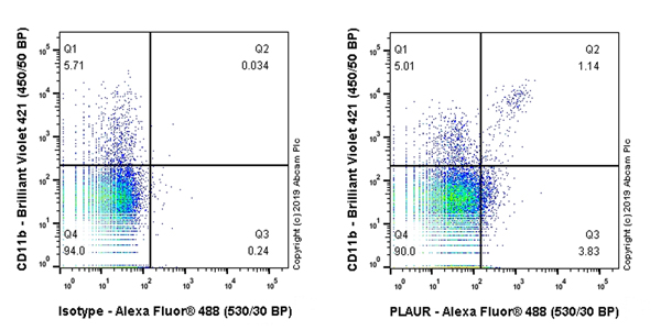 Flow Cytometry - Anti-uPA Receptor/U-PAR antibody [EPR22814-273] (AB255815)