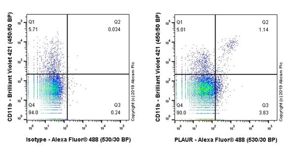 Flow Cytometry - Anti-uPA Receptor/U-PAR antibody [EPR22814-273] - BSA and Azide free (AB256763)