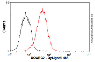 Flow Cytometry - Anti-UQCRC2 antibody [13G12AF12BB11] (AB14745), expandable thumbnail