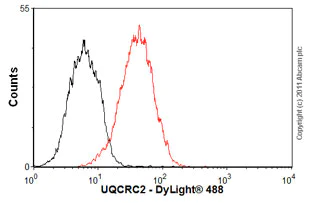 Flow Cytometry - Anti-UQCRC2 antibody [13G12AF12BB11] (AB14745)