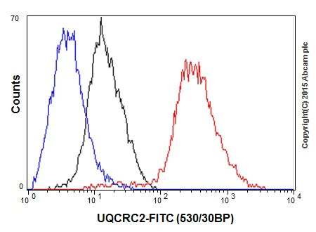 Flow Cytometry (Intracellular) - Anti-UQCRC2 antibody [EPR13051] (AB203832)