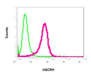 Flow Cytometry (Intracellular) - Anti-UQCRH antibody [EPR9038(B)] (AB154803), expandable thumbnail