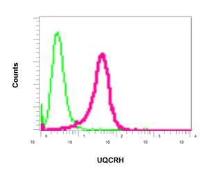 Flow Cytometry (Intracellular) - Anti-UQCRH antibody [EPR9038(B)] - BSA and Azide free (AB249111)