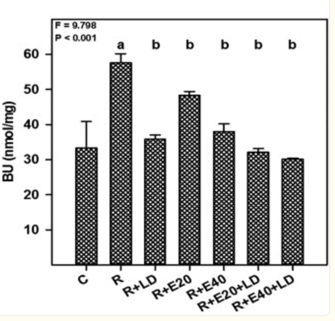 Biochemical assay - Urea Assay Kit (ab83362), expandable thumbnail