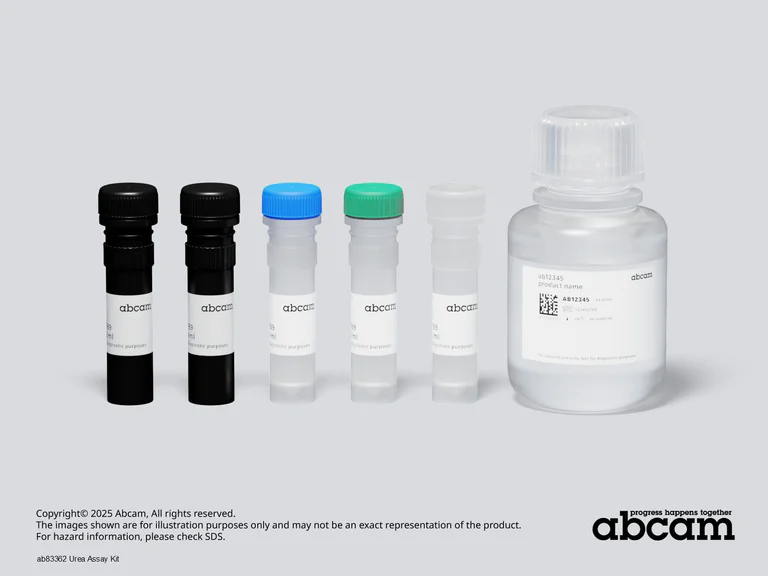 Other - Urea Assay Kit (AB83362)