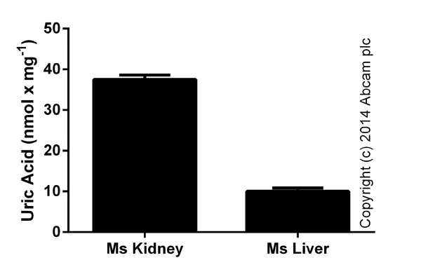 Functional Studies - Uric Acid Assay Kit (AB65344)