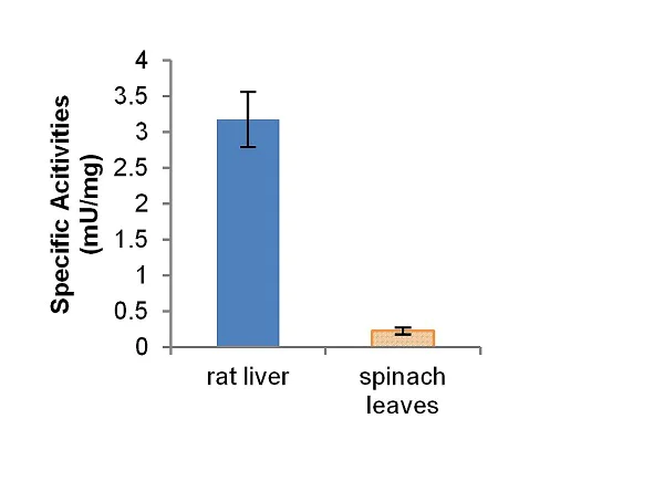 Functional Studies - Uricase Assay Kit (Fluorometric) (AB234042)