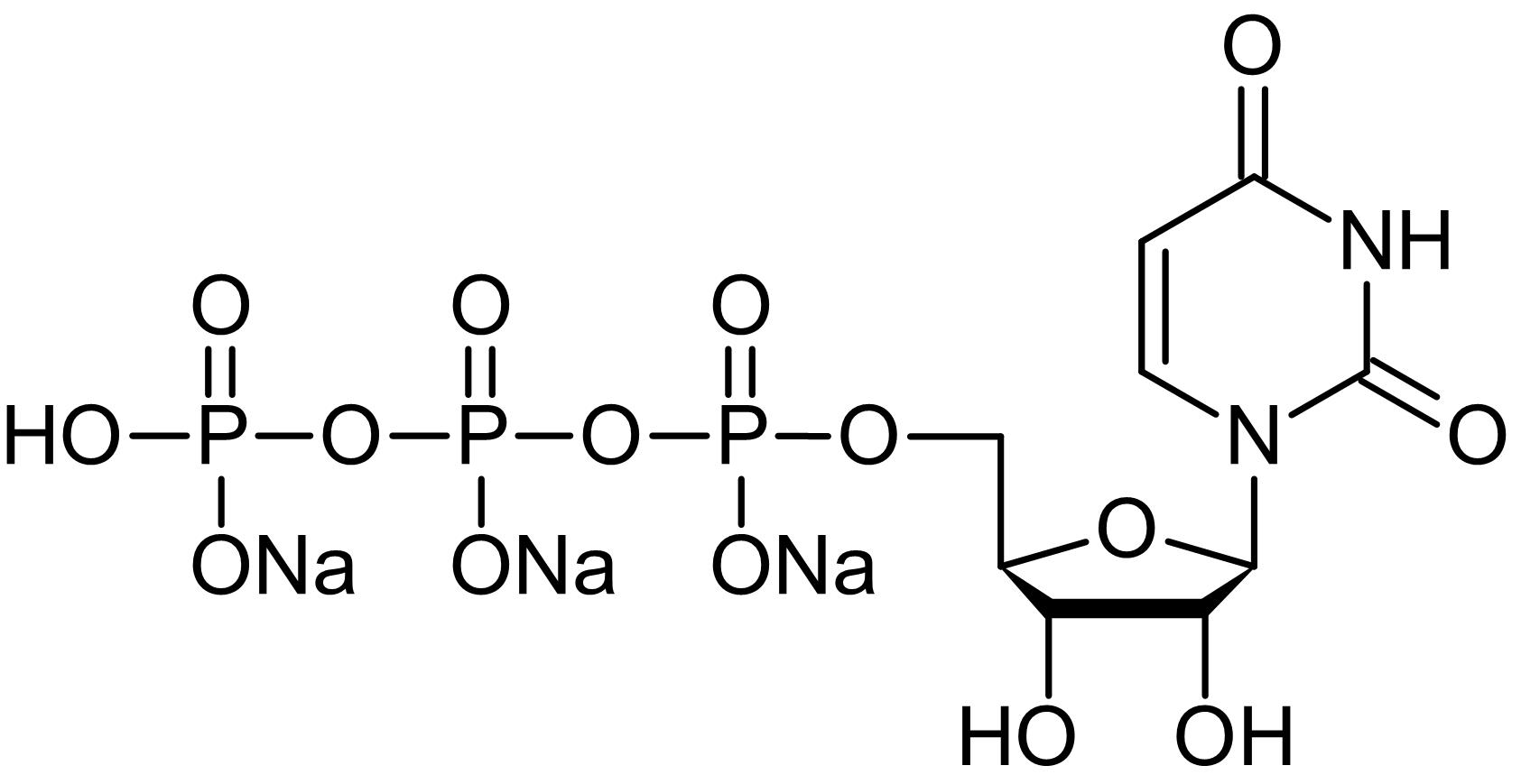 Chemical Structure - Uridine-5'-triphosphate [UTP] trisodium salt, P2Y receptor agonist (AB146222), expandable thumbnail