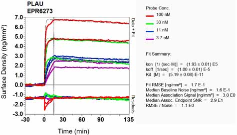 OI-RD Scanning - Anti-Urokinase antibody [EPR6273] - BSA and Azide free (AB236060), expandable thumbnail