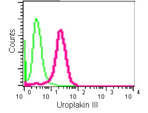 Flow Cytometry (Intracellular) - Anti-Uroplakin III antibody [EPR14420] - BSA and Azide free (AB239006)