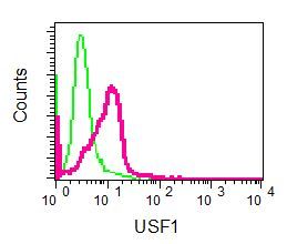 Flow Cytometry (Intracellular) - Anti-USF1 antibody [EPR6430] (AB125020), expandable thumbnail