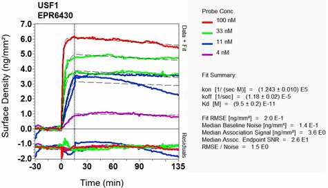 OI-RD Scanning - Anti-USF1 antibody [EPR6430] (AB125020), expandable thumbnail