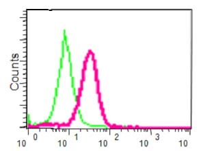 Flow Cytometry (Intracellular) - Anti-USP19 antibody [EPR14816] (AB189518)