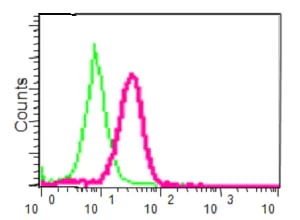 Flow Cytometry (Intracellular) - Anti-USP19 antibody [EPR14816] - BSA and Azide free (AB250993)