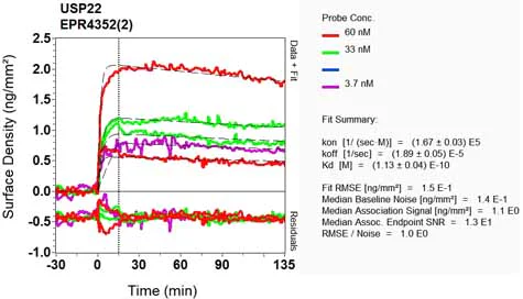 OI-RD Scanning - Anti-USP22 antibody [EPR4352(2)] - BSA and Azide free (AB223341)