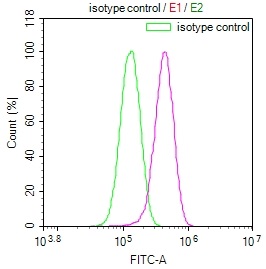 Flow Cytometry (Intracellular) - Anti-USP24 antibody [11E3] (AB314024), expandable thumbnail