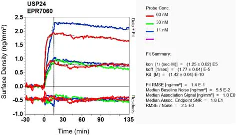 OI-RD Scanning - Anti-USP24 antibody [EPR7060] (AB129064)