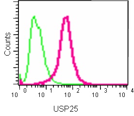 Flow Cytometry (Intracellular) - Anti-USP25 antibody [EPR15019] (AB187156)