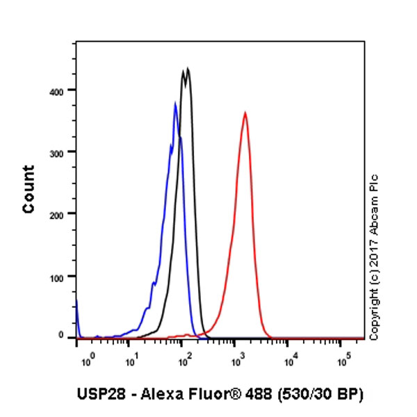 Flow Cytometry (Intracellular) - Anti-USP28 antibody [EPR4249(2)] - BSA and Azide free (AB225537)