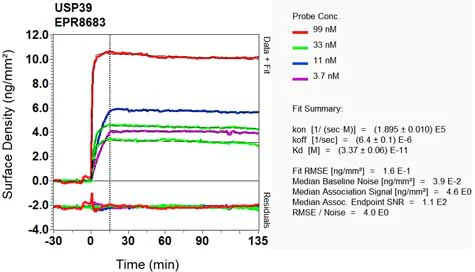 OI-RD Scanning - Anti-USP39 antibody [EPR8683] (AB131244)