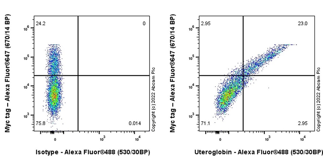 Flow Cytometry (Intracellular) - Anti-Uteroglobin antibody [EPR27144-86] - BSA and Azide free (ab307667), expandable thumbnail