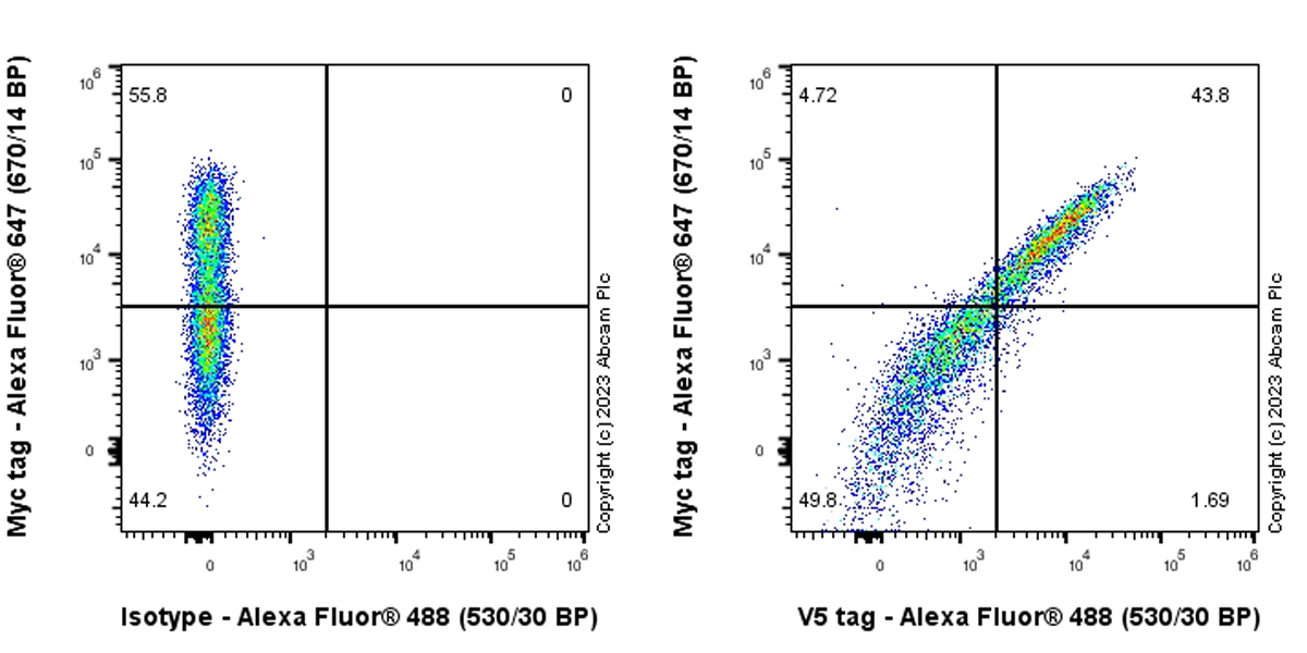 Flow Cytometry (Intracellular) - Anti-V5 tag antibody [EPR27187-61] (AB309485)