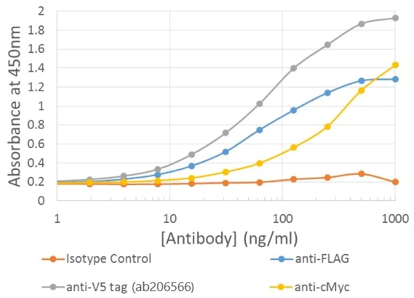 Indirect ELISA - Anti-V5 tag antibody [SV5-P-K] (AB206566)