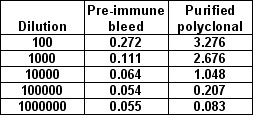 ELISA - Anti-Vaccinia Virus antibody (AB26853), expandable thumbnail