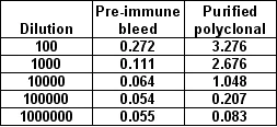 ELISA - Anti-Vaccinia Virus antibody (AB26853)