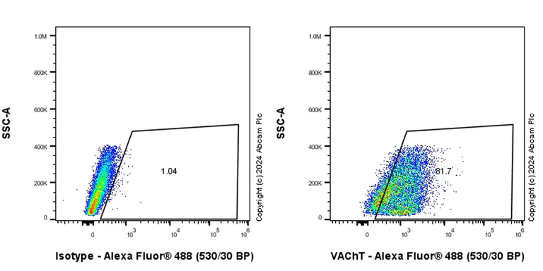 Flow Cytometry (Intracellular) - Anti-VAChT antibody [EPR29154-71] - BSA and Azide free (AB317453)