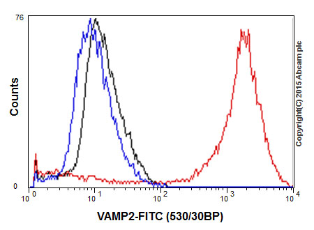 Flow Cytometry (Intracellular) - Anti-VAMP2 antibody [EPR12790] (ab181869), expandable thumbnail