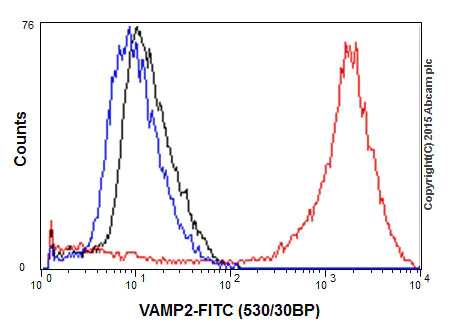 Flow Cytometry (Intracellular) - Anti-VAMP2 antibody [EPR12790] (AB181869)