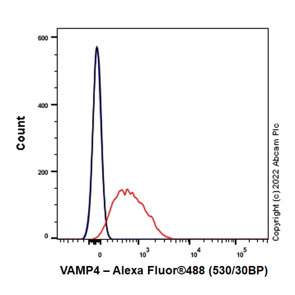 Flow Cytometry (Intracellular) - Anti-VAMP4 antibody [EPR25066-77] (AB290726)