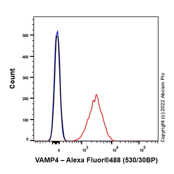 Flow Cytometry (Intracellular) - Anti-VAMP4 antibody [EPR25066-77] - BSA and Azide free (AB290741)
