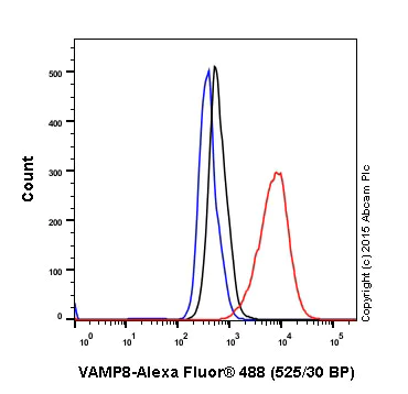 Flow Cytometry (Intracellular) - Anti-VAMP8/EDB antibody [EP2629Y] (AB76021)