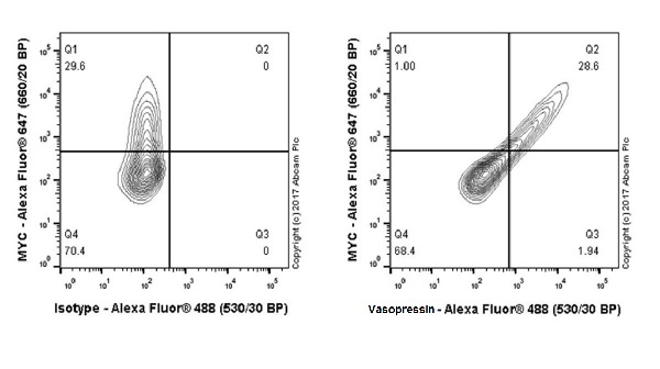 Flow Cytometry (Intracellular) - Anti-Vasopressin antibody [EPR20602] (ab213708), expandable thumbnail