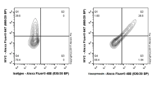 Flow Cytometry (Intracellular) - Anti-Vasopressin antibody [EPR20602] - BSA and Azide free (AB227050)
