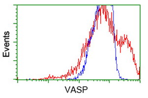 Flow Cytometry (Intracellular) - Anti-VASP antibody [OTI1H8] (AB114029)