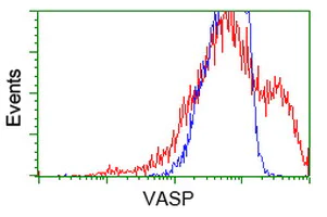 Flow Cytometry (Intracellular) - Anti-VASP antibody [OTI1H8] (AB114029)
