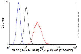 Flow Cytometry - Anti-VASP (phospho S157) antibody [5C6] (AB58555)
