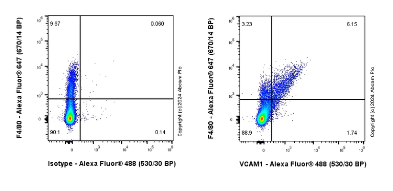 Flow Cytometry - Anti-VCAM1 antibody [EPR27027-79] - BSA and Azide free (AB316315)