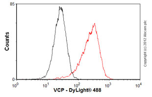 Flow Cytometry (Intracellular) - Anti-VCP antibody [EPR3307(2)] (ab109240), expandable thumbnail