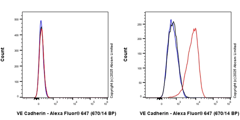 Flow Cytometry - Anti-VE Cadherin antibody [BV13] - Intercellular Junction Marker (AB91064)