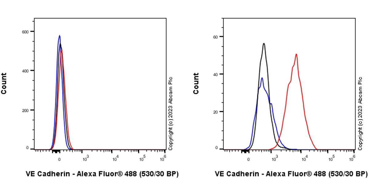 Flow Cytometry (Intracellular) - Anti-VE Cadherin antibody [EPR27436-55] (AB313632), expandable thumbnail